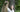 Yggdrasil – A tribute to the forest