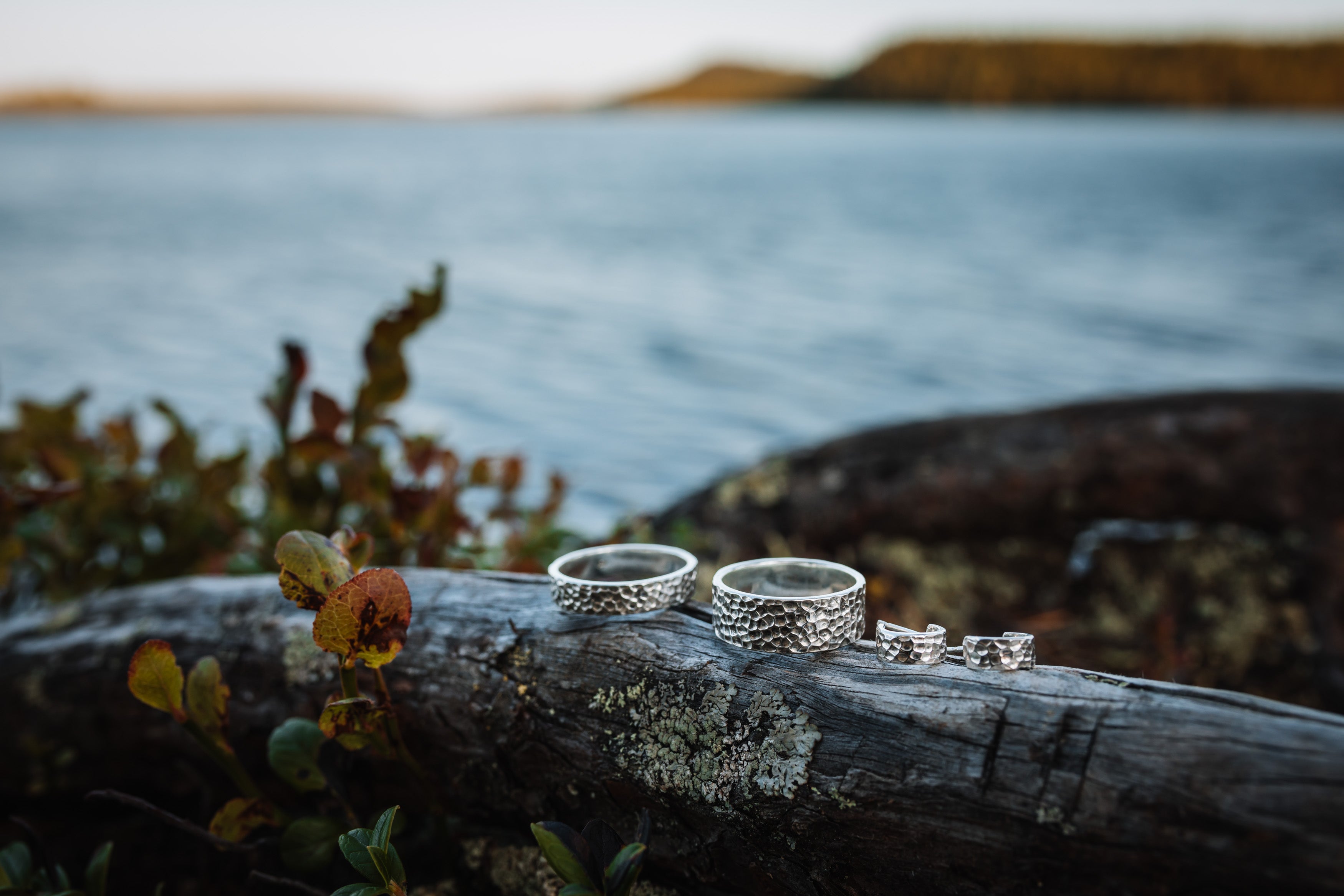 Rings and ear studs on wood on the lake shore in Sweden with blueberries