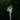 Forget - me - not hair pin - Midsommar collection - Fig's