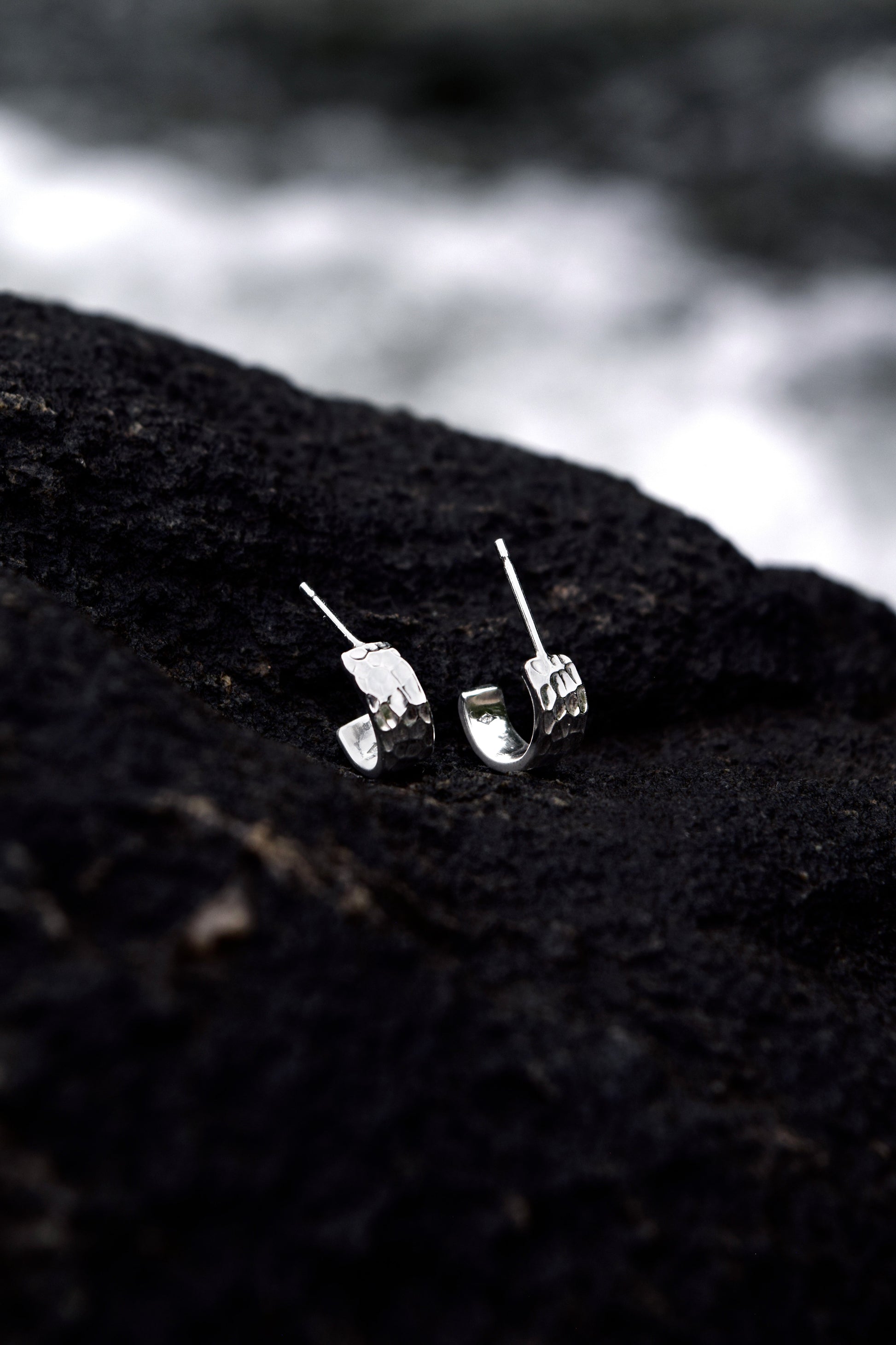 North ear studs - Fig's